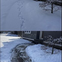 Zepeda’s Junk Removal - Snow removal