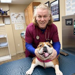 All Creatures Great and Small Animal Clinic