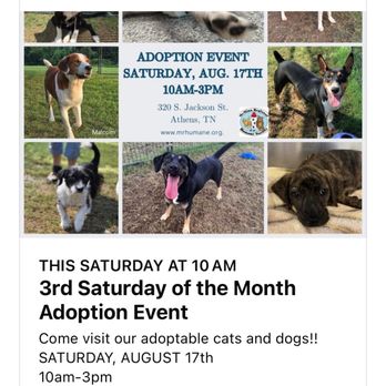 McMinn Regional Humane Society - Pets that have been at the Humane Society up for adoption that the volunteers have worked very hard finding homes for - Animal Shelters Near Me - Athens, Tennessee McMinn Regional Humane Society - Pets that have been at the Humane Society up for adoption that the volunteers have worked very hard finding homes for - Animal Shelters Near Me - Athens, Tennessee