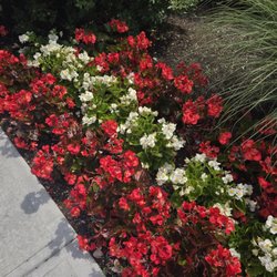 ENT & Allergy Associates - Paramus
