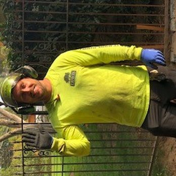 Travis Tree Service - Travis, taking his pledge: I promise to do an outstanding job exceeding your expectations while running circles around other tree guys! - Tree Services Near Me - Fresno, California
