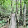 Indian Kill Nature Preserve
