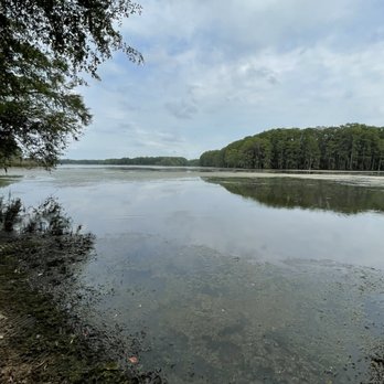 Gil Waters Lake Munson Preserve - Lakes Near Me - Tallahassee, Florida Gil Waters Lake Munson Preserve - Lakes Near Me - Tallahassee, Florida