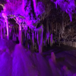 Ses Coves de Gènova - Well worth the 5 minute taxi ride