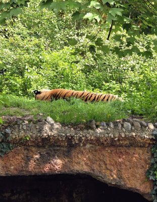 Hellabrunn Zoo by null