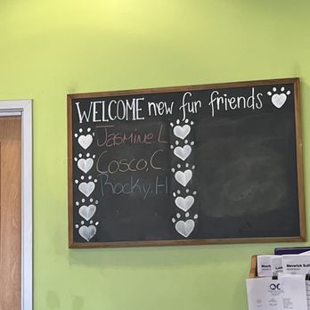 OC Veterinary Medical Center - Veterinarians Near Me - Orange, California OC Veterinary Medical Center - Veterinarians Near Me - Orange, California