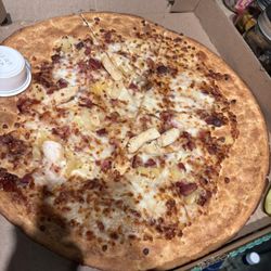 Papa Johns Pizza - Tasted as ugh as it looks.