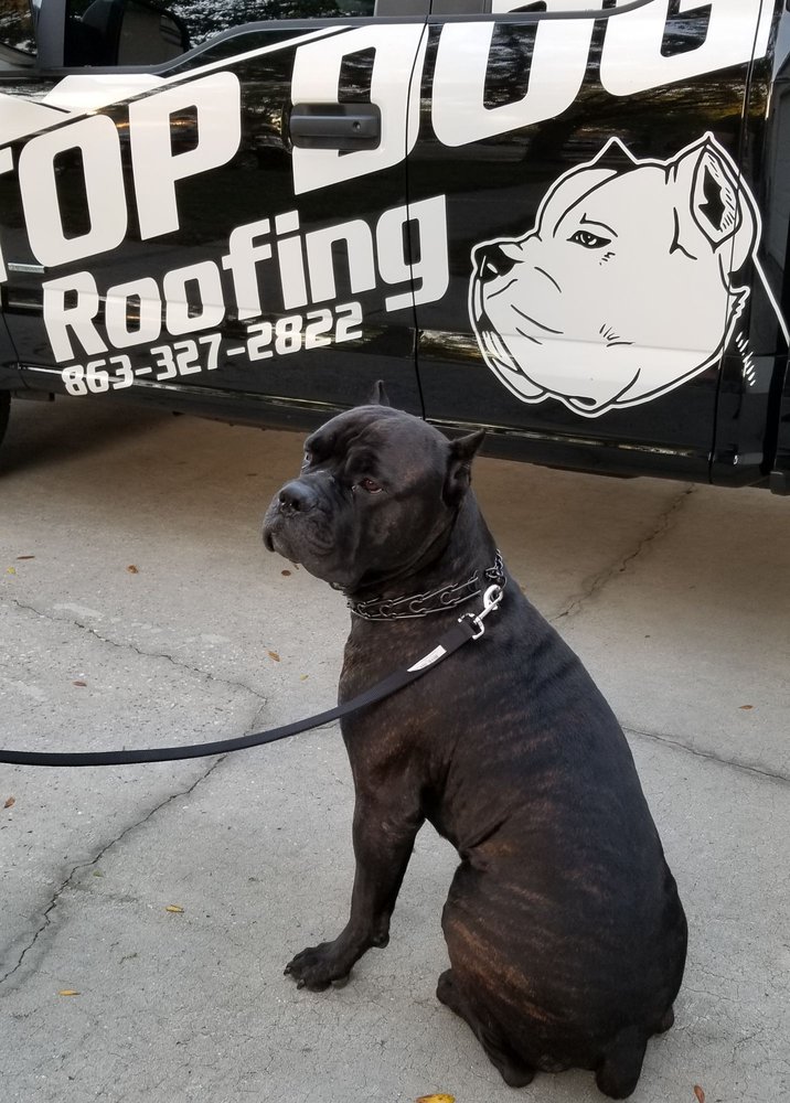 Slide of Top Dog Roofing