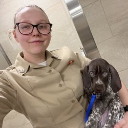 Southwest Airlines - Us sailor in uniform holding emotional support dog for my family.