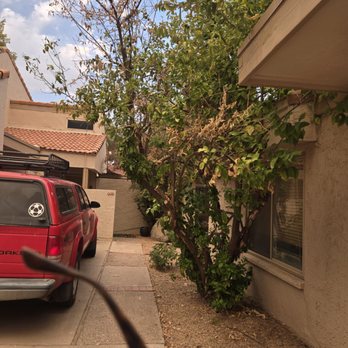 Heywood Community Management - Property Management Near Me - Gilbert, Arizona