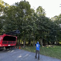 De Paula Tree Services - Land
