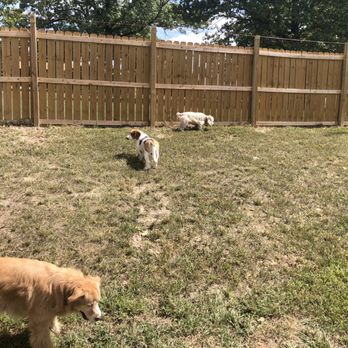 Canine Cabins Resort - Pet Groomers Near Me - Bentonville, Arkansas