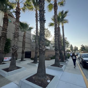 Albert Chatigny Community Center - Community Service/Non-Profit Near Me - Beaumont, California Albert Chatigny Community Center - Community Service/Non-Profit Near Me - Beaumont, California