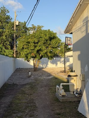 STONES THROW - Updated January 2026 - 14 Photos - Miami, Florida