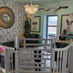 Lucky Dog Central - Sitting area