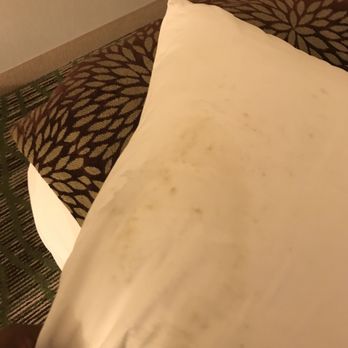 Black Mold On The Pillows In Our Room Yelp