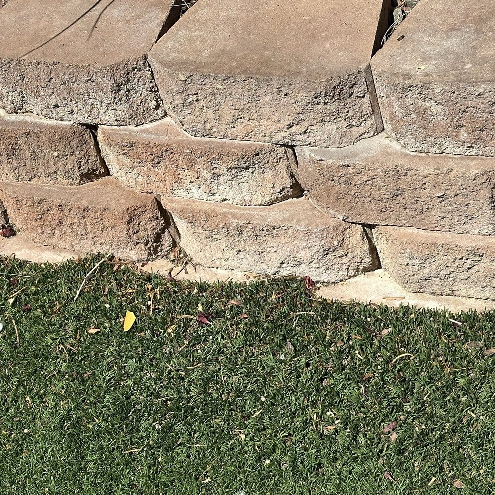 Dcancio Landscape - Not cleaned - Landscape Architects or Designers Near Me - Manor, Texas