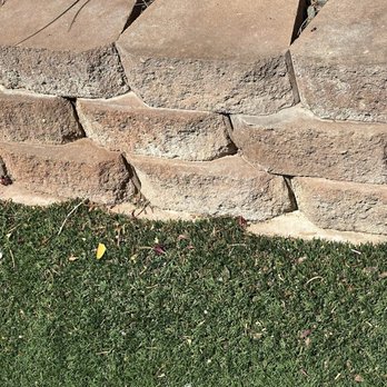 Dcancio Landscape - Not cleaned - Landscape Architects or Designers Near Me - Manor, Texas
