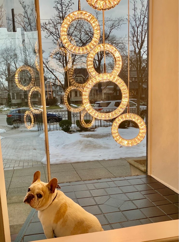 Advanced Aesthetics Logo