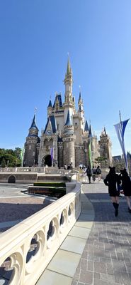 Tokyo Disney Resort by null