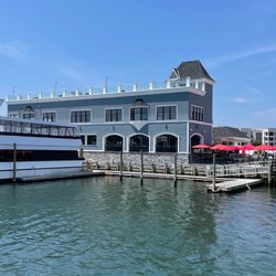 Long Island Whale & Seal Watching