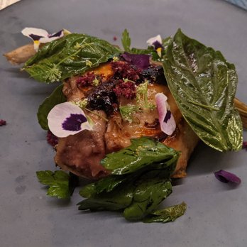 Juniper - Hamachi collar - Italian Near Me - Austin, Texas