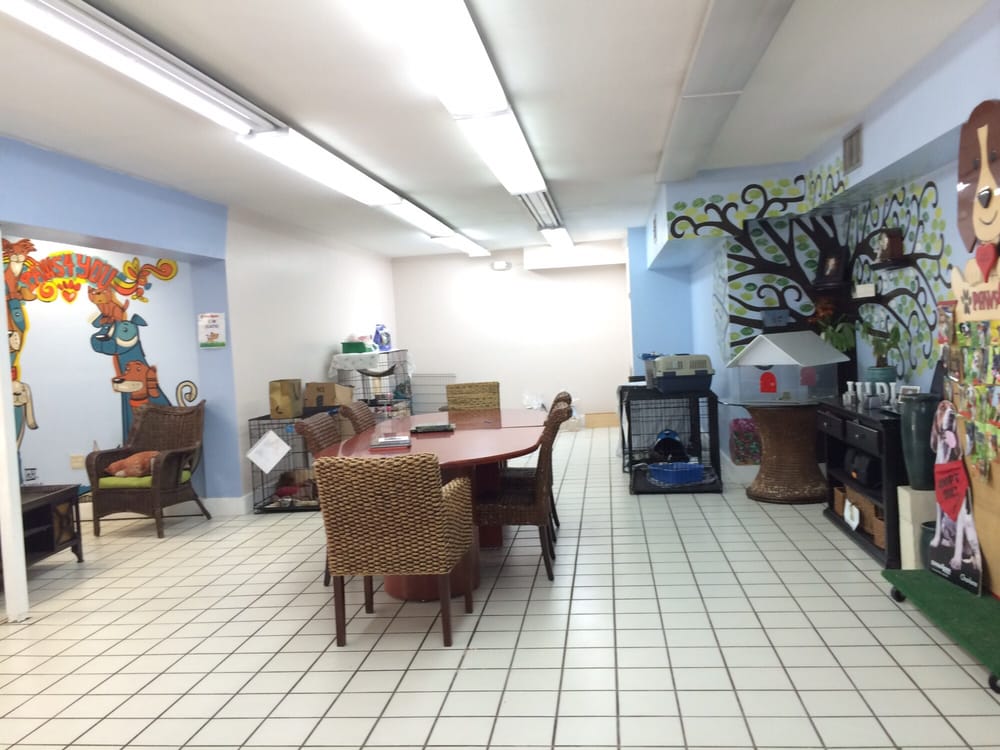 Paws 4 You - pet boarding facility in Miami, FL