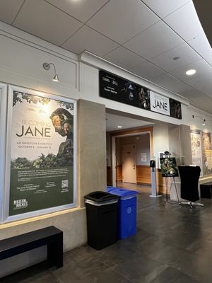 Museum of the Rockies by null