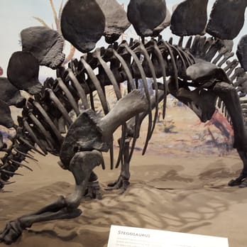 Royal Tyrrell Museum - Well presented displays. Couldn't be better. - Museums Near Me - Drumheller, Alberta Royal Tyrrell Museum - Well presented displays. Couldn't be better. - Museums Near Me - Drumheller, Alberta