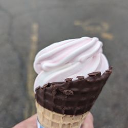 Jesy's Dairy Cove - Black Raspberry soft serve