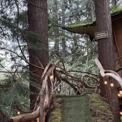 Mountain View's  Tree House Joint