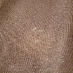 Yogi Bear's Jellystone Park - Smudge of dirt claiming to be a paw print