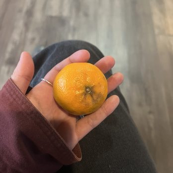 Thai us up - Server came and gave me a yummy orange while I waited for my food! Amazing service! :) - Thai Near Me - Seaside, Oregon Thai us up - Server came and gave me a yummy orange while I waited for my food! Amazing service! :) - Thai Near Me - Seaside, Oregon
