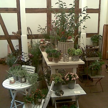 Blumengeschäft Flora 39 Dietterle Viola - Florists Near Me - Potsdam, BB Blumengeschäft Flora 39 Dietterle Viola - Florists Near Me - Potsdam, BB