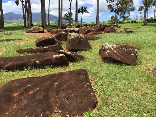 Kukaniloko Birth Stones by null