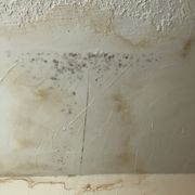 BRIARCLIFFE APARTMENTS & TOWNHOMES - Updated December 2025 - 18