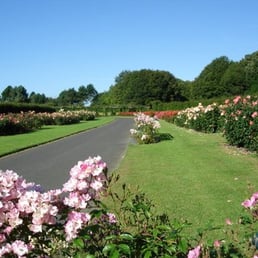 Rose Garden