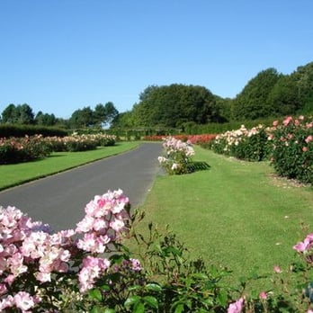 St Anne's Park - Rose Garden - Parks Near Me - Dublin, D