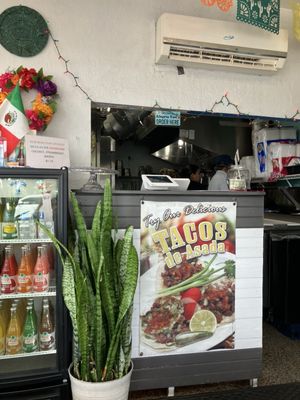 Alegria Taco by null