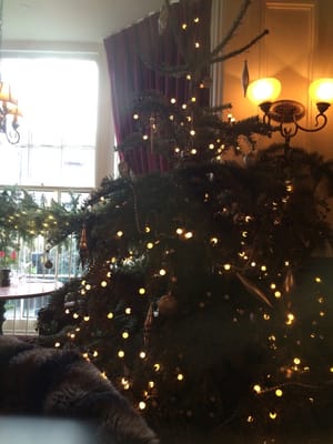 Bull Highgate by null