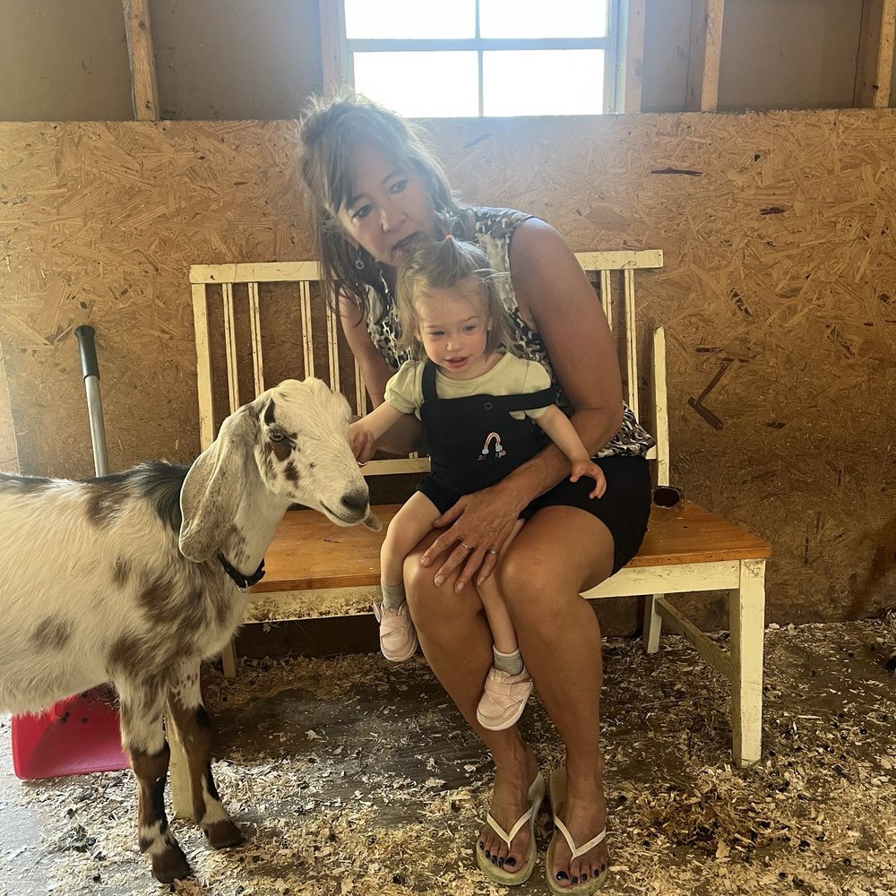 Rowandale Goat Farm - Farms Near Me - Colden, New York Rowandale Goat Farm - Farms Near Me - Colden, New York