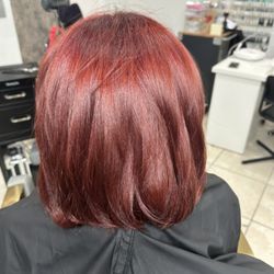 D' Monique Salon - Paul Mitchell focus salon all colors service provided