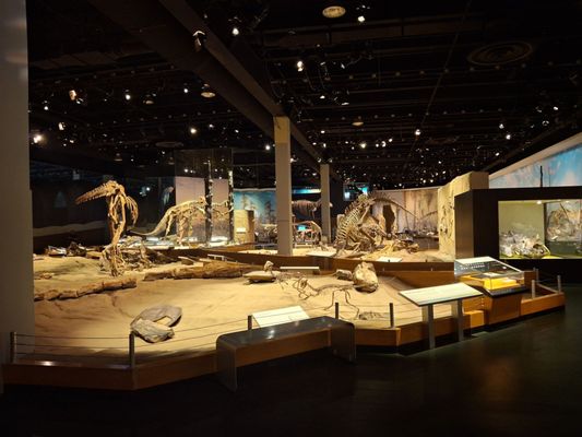 Royal Tyrrell Museum by null