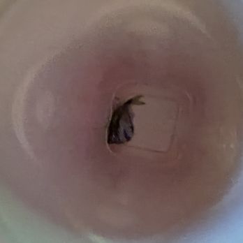 Wet Spot Tropical Fish - Aquarium Services Near Me - Portland, Oregon