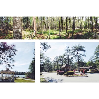 Laura S. Walker State Park by null