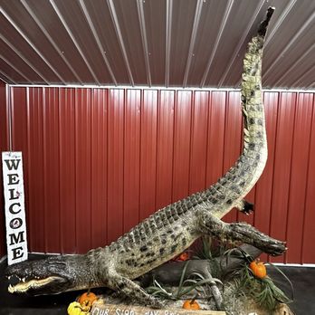 Lash's Restaurant - A big honkin' alligator! - Seafood Near Me - Rogersville, Alabama