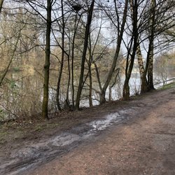 Eppendorfer Mühlenteich - Mühlenteich