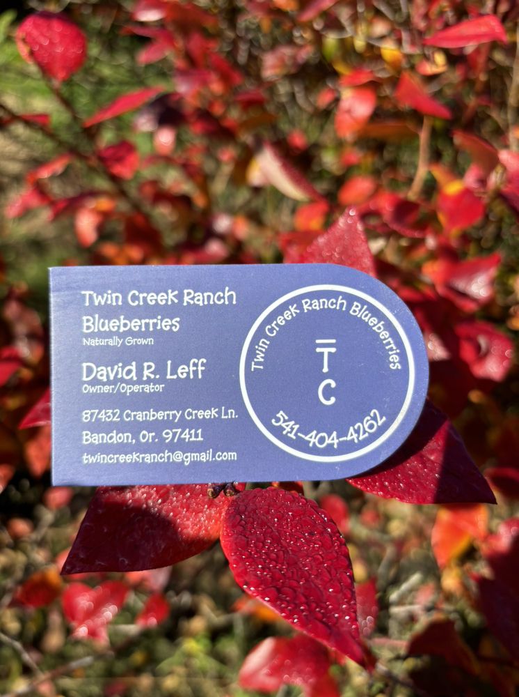 Twin Creek Ranch Blueberries Logo