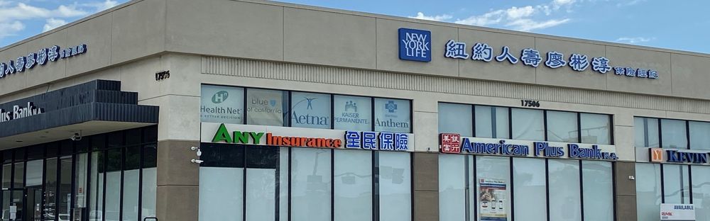 Any Insurance Services