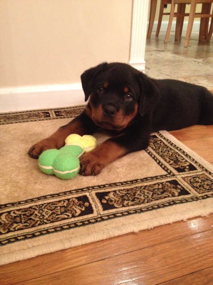 Slide of Extreme Plumbing NY